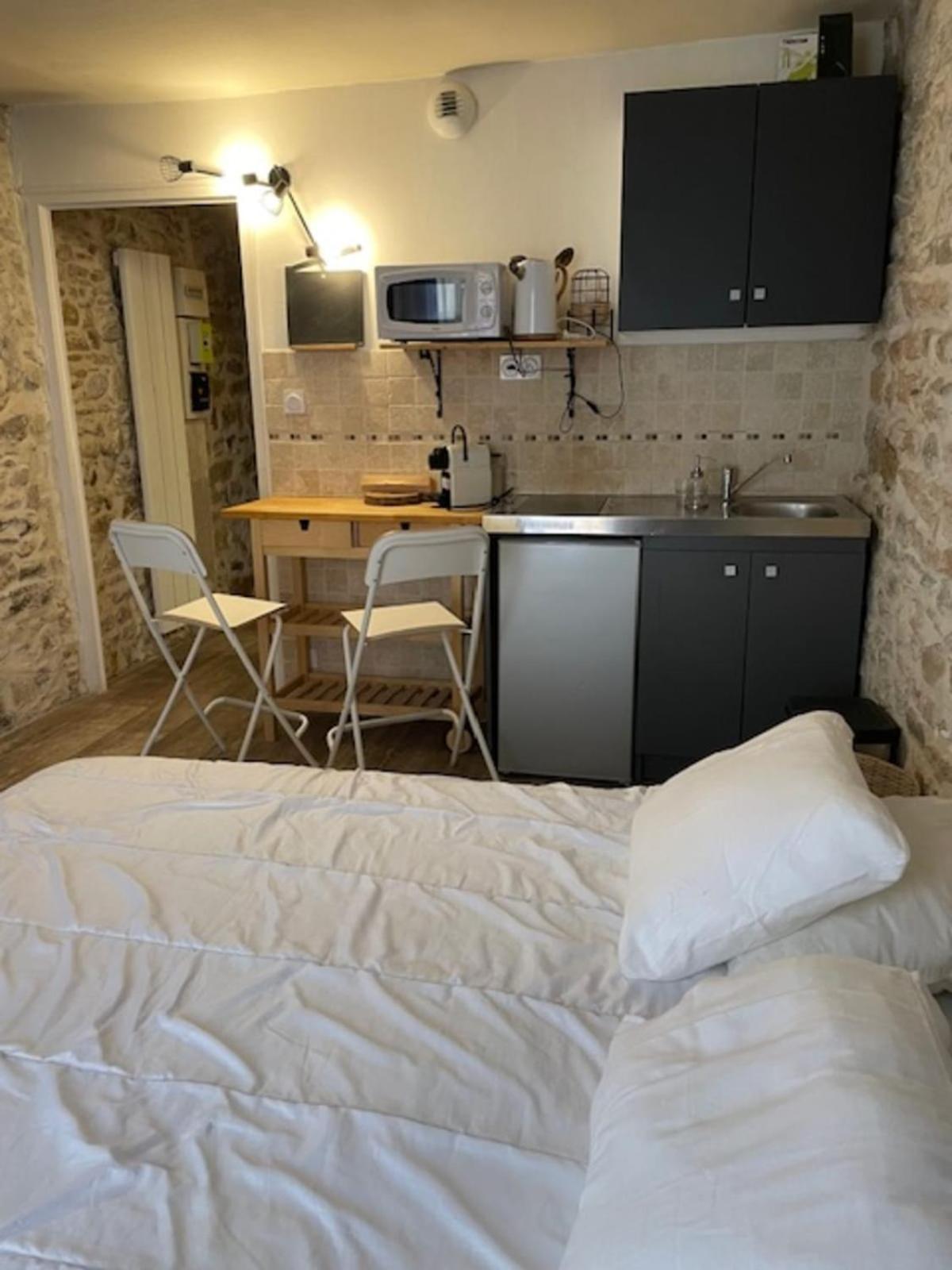 Studio With Exposed Stone Vieux Lyon Lione Esterno foto